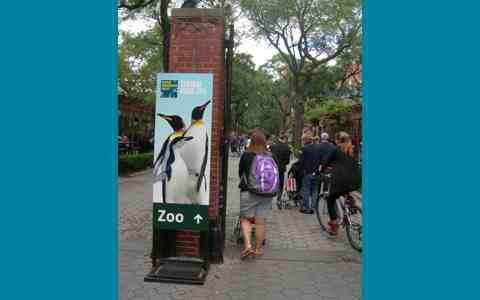 Zoo Central Park NYC